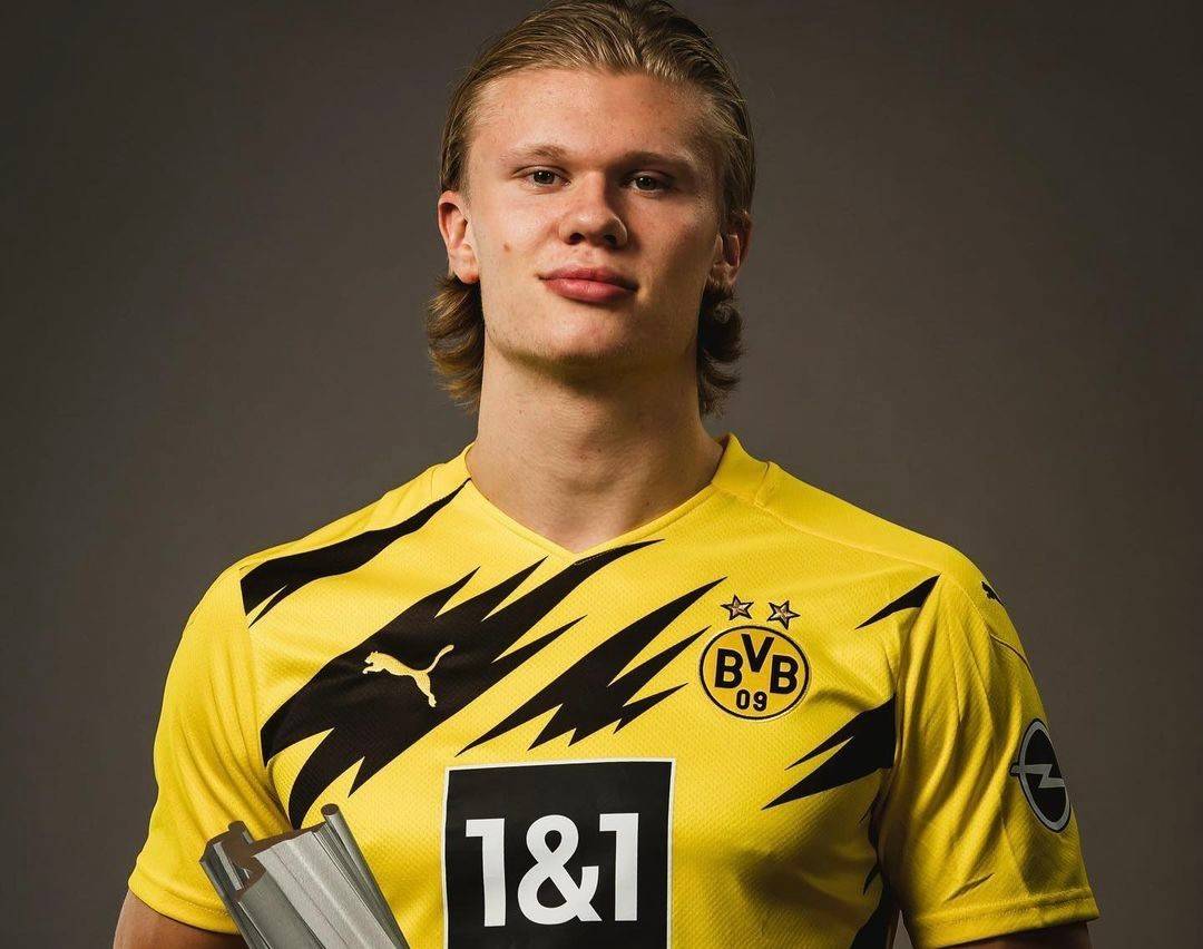 也带来转播 也带来转播