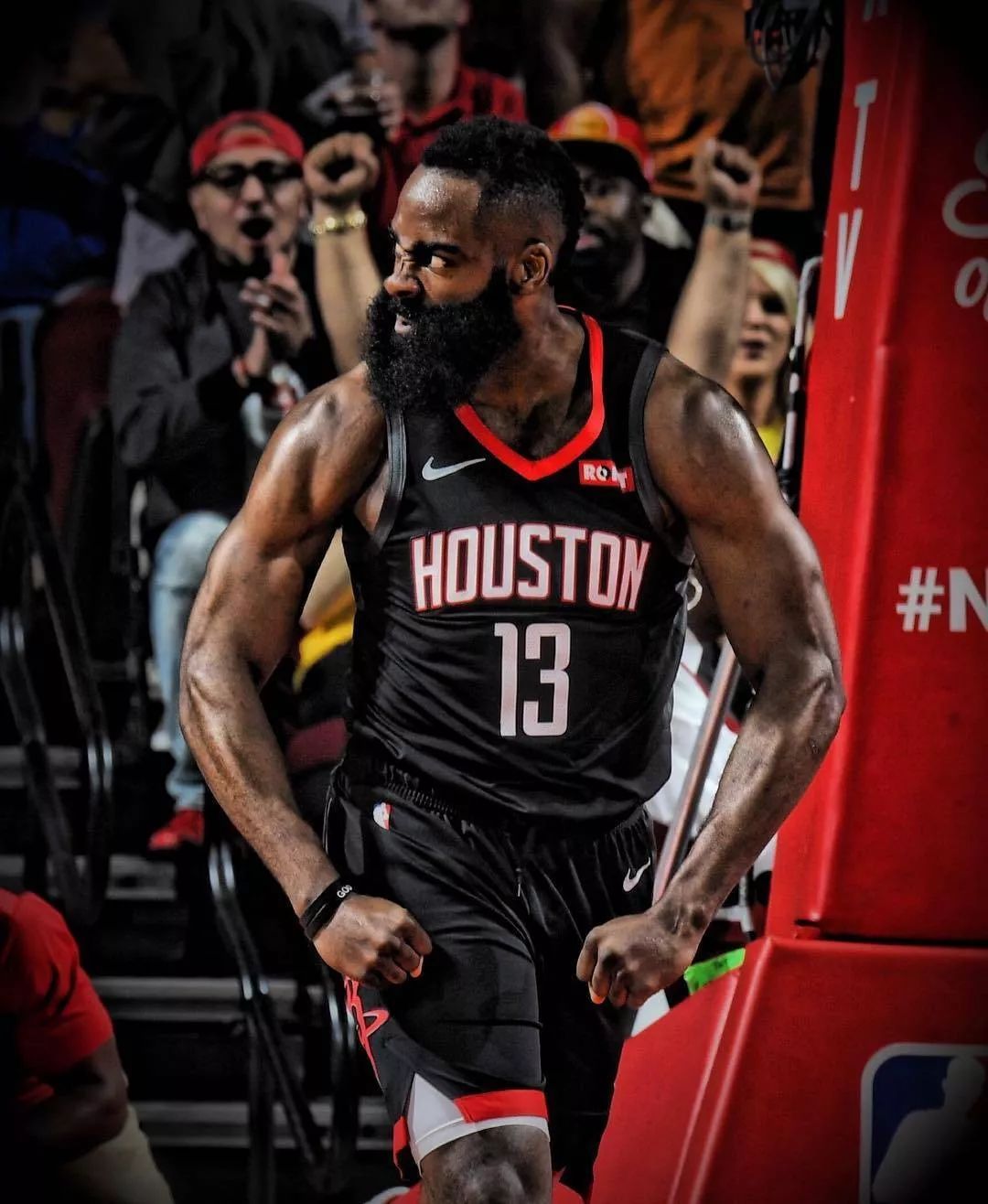 昙花一现 昙花一现