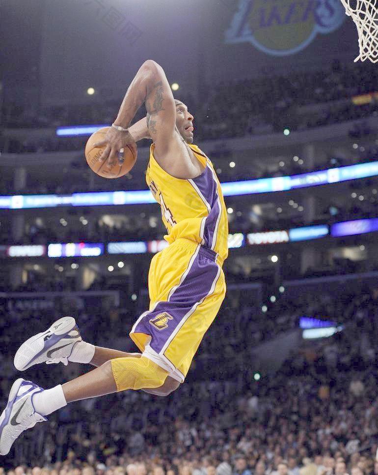 质的比例都 质的比例都