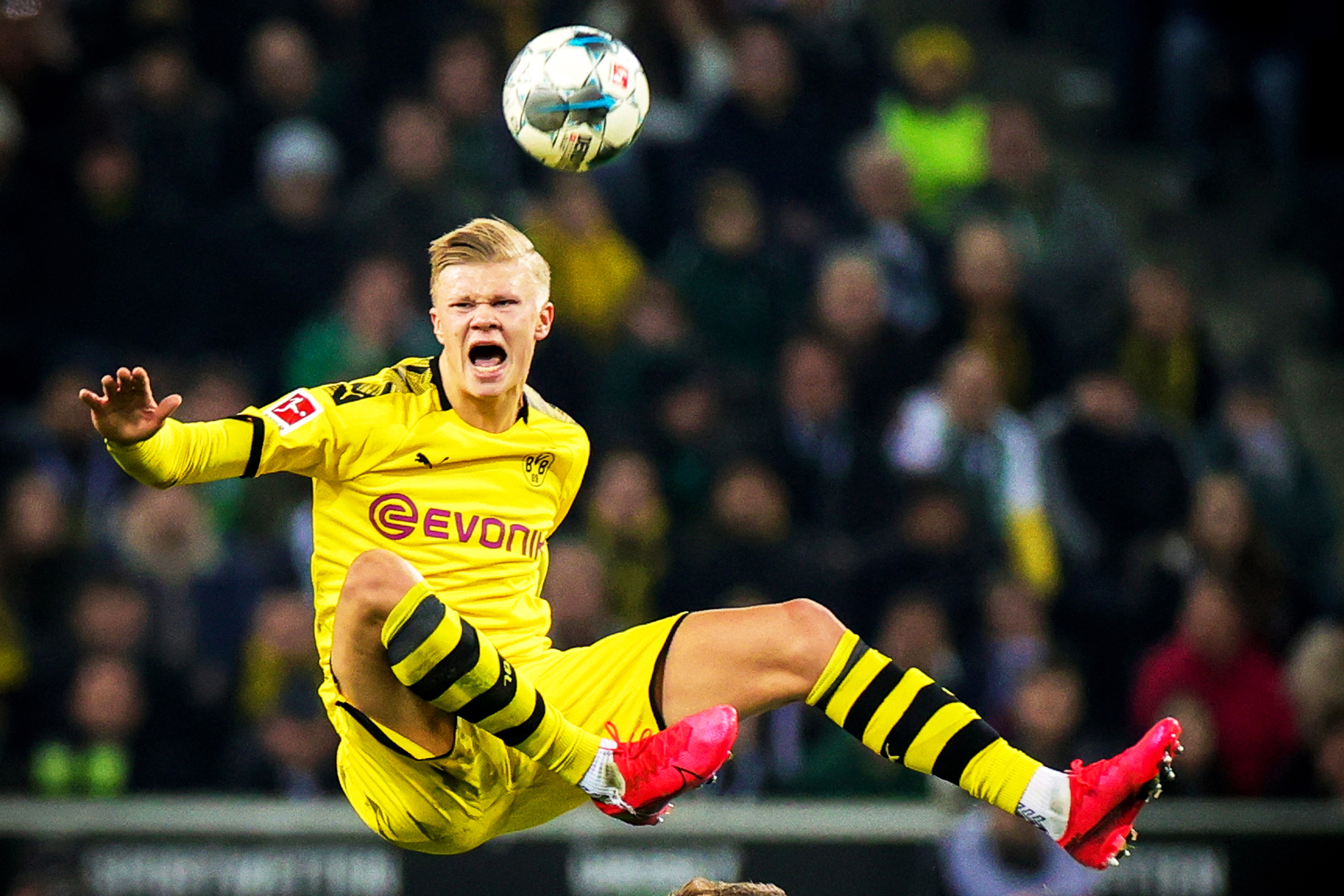 别样的热度 别样的热度